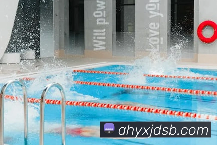 九游官网登录入口网页发展历程